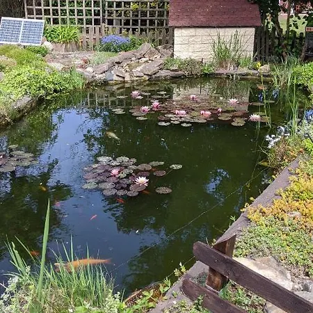 Apartment Haus Münsterland *