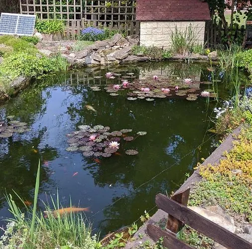 Apartamento Haus Muensterland *